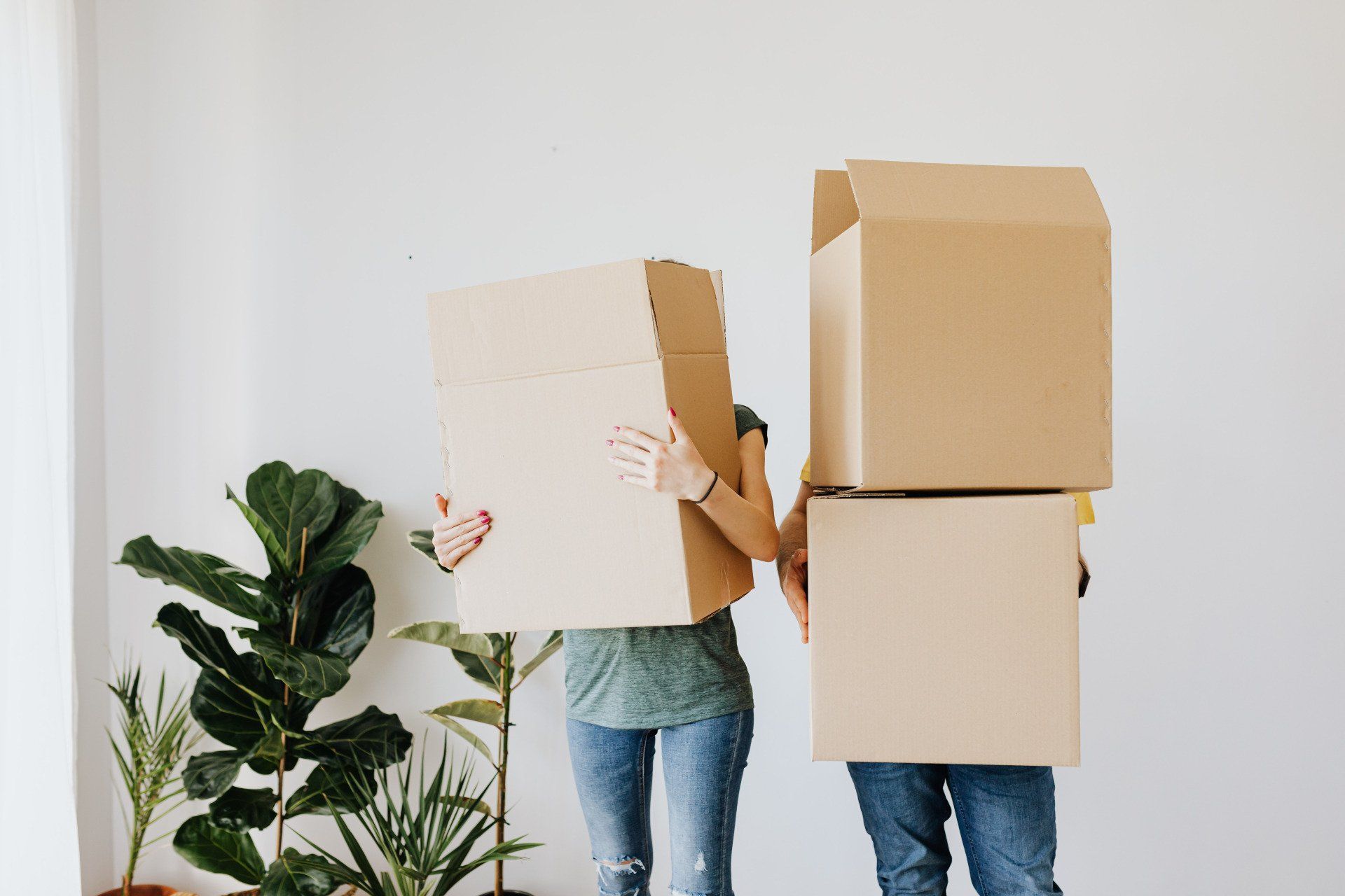 Two people hold cardboard boxes in front of their faces, standing near plants and a white wall.