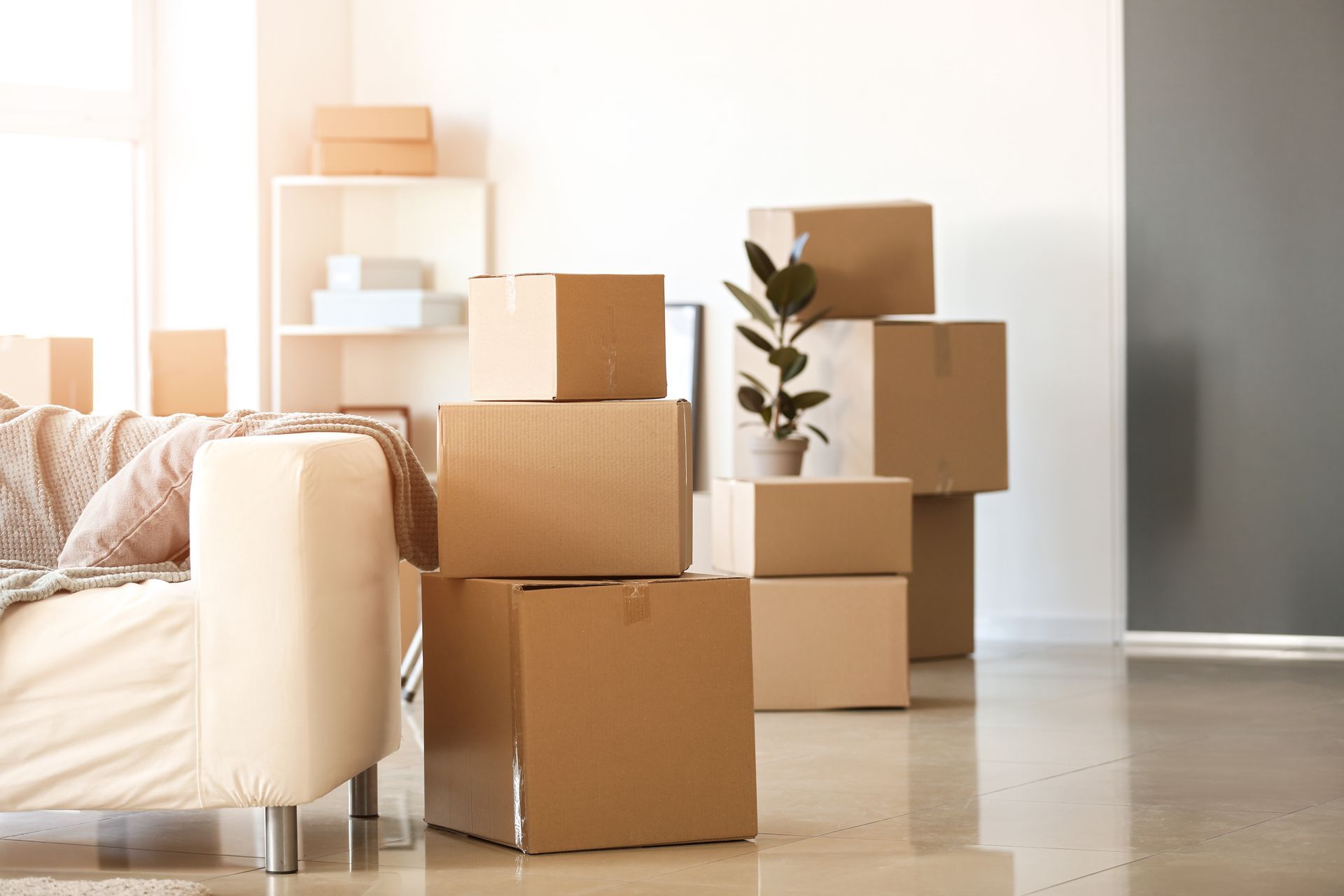 Cardboard boxes stacked in a room, indicating a move. A sofa and small plant are also visible.