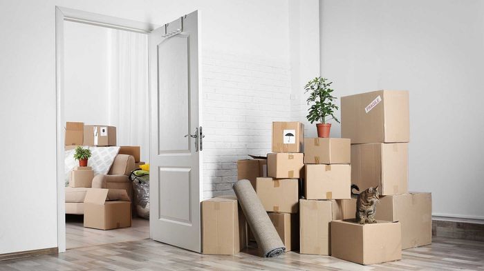 Boxes stacked in a room, doorway open to a room with more boxes, cat peeking out of a box.